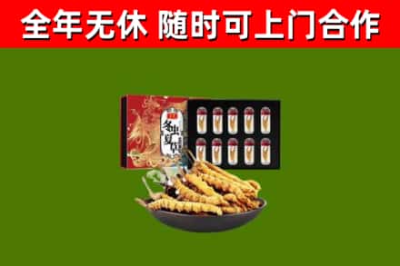 维西回收冬虫夏草价格